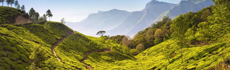 Assam