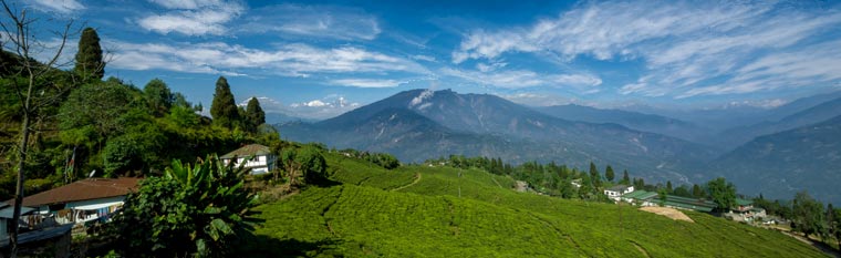Pelling