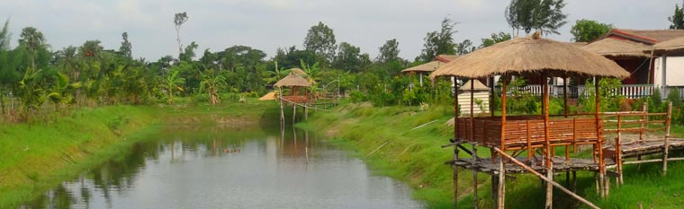 Sunderbans